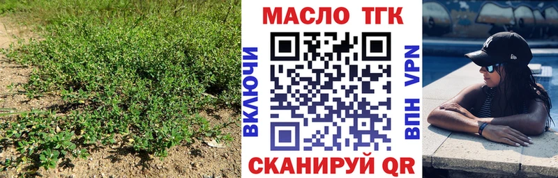 где продают наркотики  Змеиногорск  ТГК жижа 