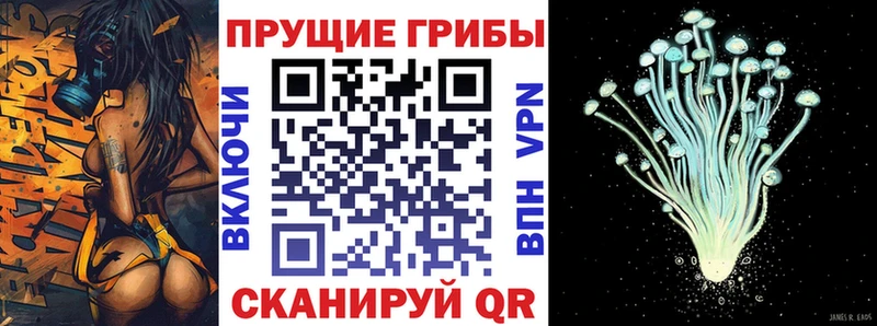 Псилоцибиновые грибы мицелий  наркотики  Змеиногорск 